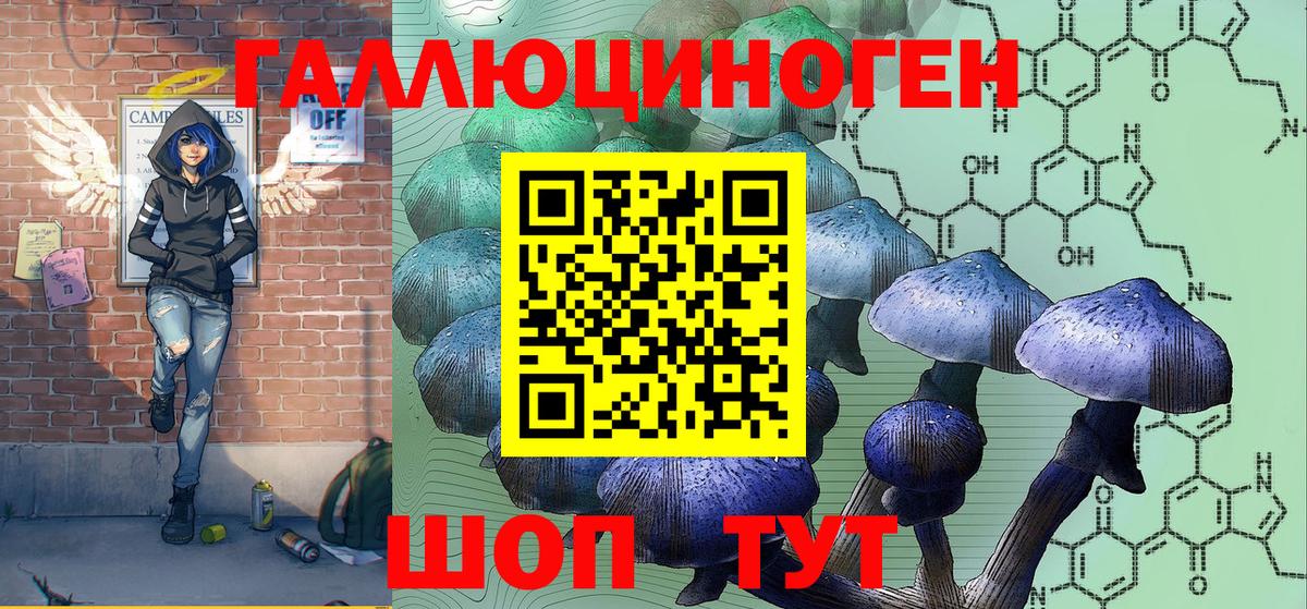 Калач-на-Дону  Галлюциногенные грибы прущие грибы  Вход с VPN 